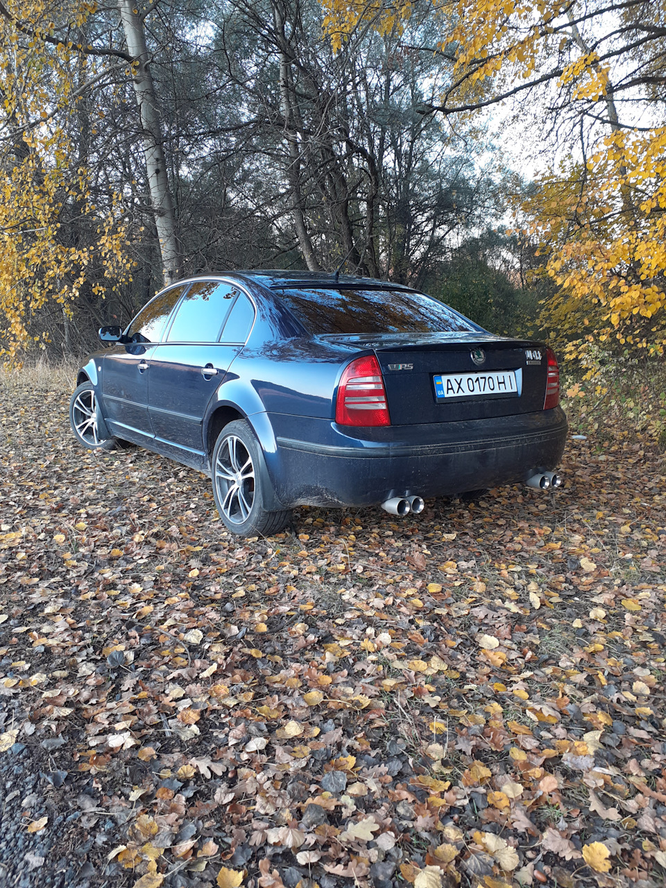 трохи осінніх фото 5