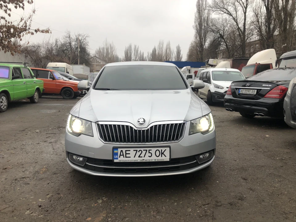 Вже на своїх номерах! Тонування чола)