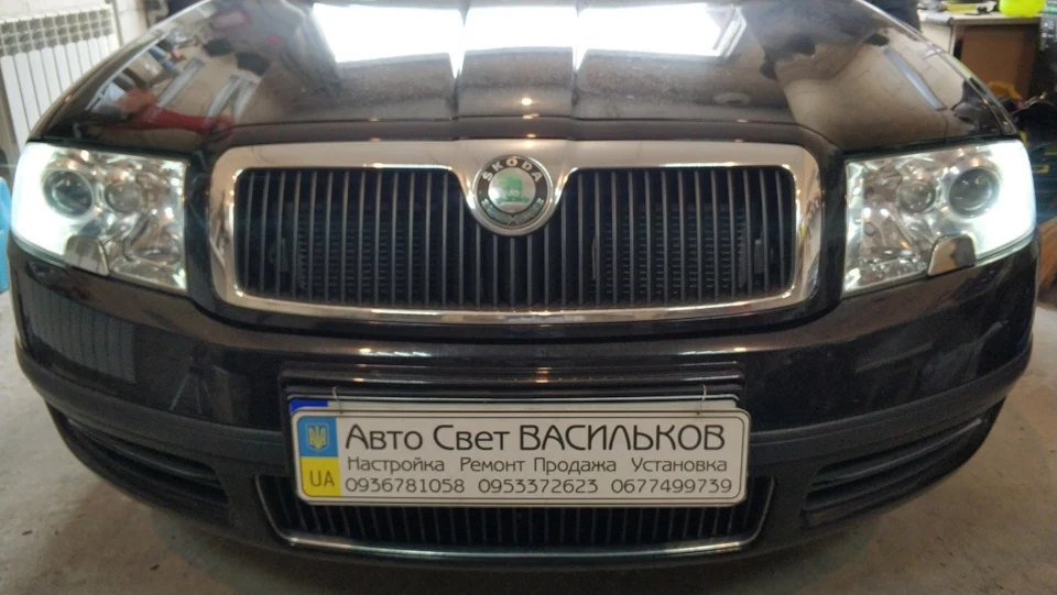 ДХО як світять.