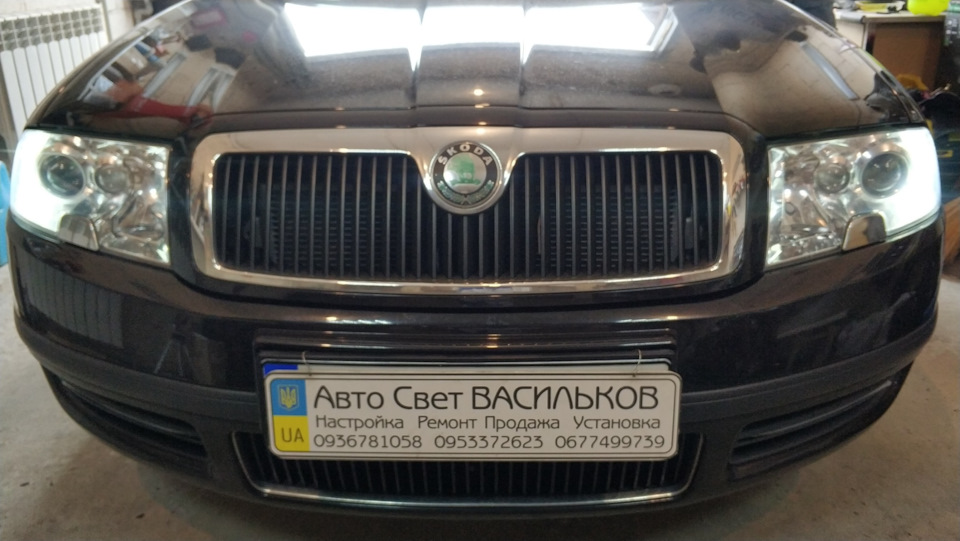 ДХО як світять. 1