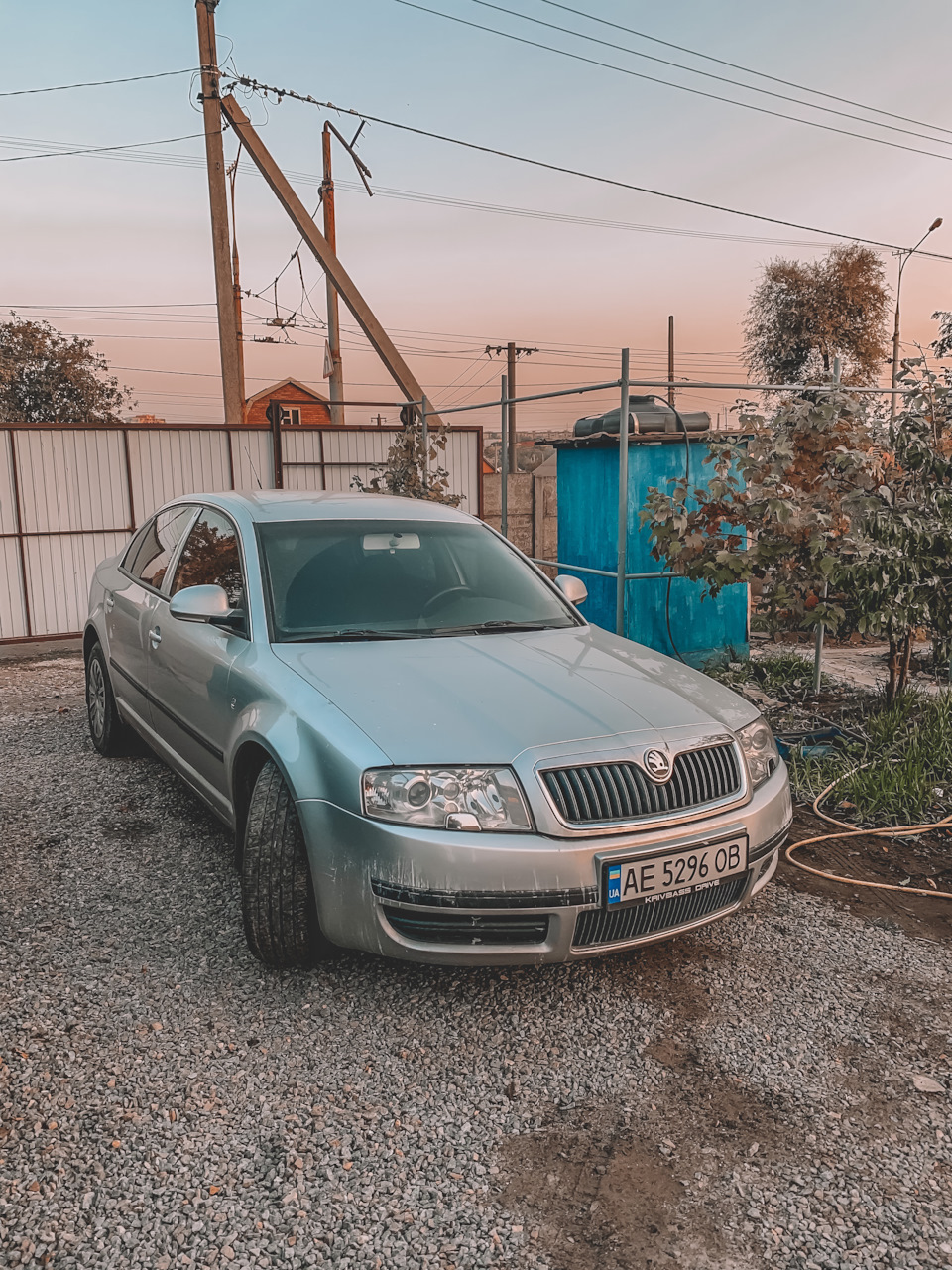 Сдохла на дорозі 4