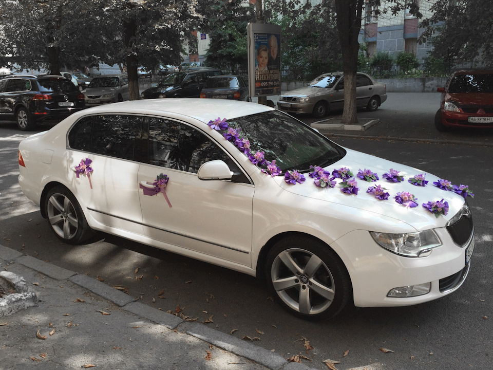 Весілля та ошатний Крокодил 4