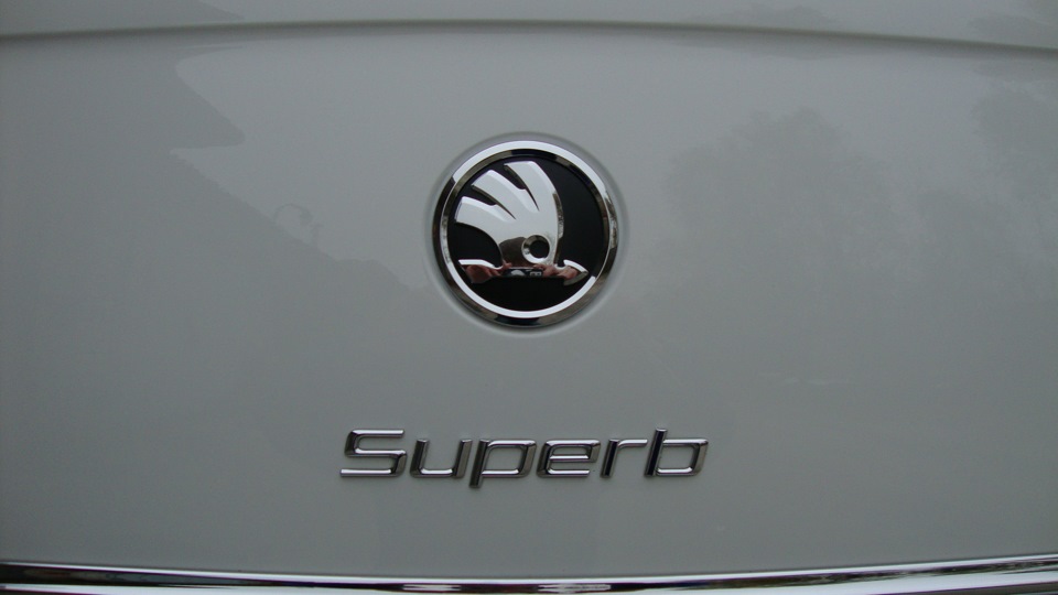 Емблема Skoda (задня) 4