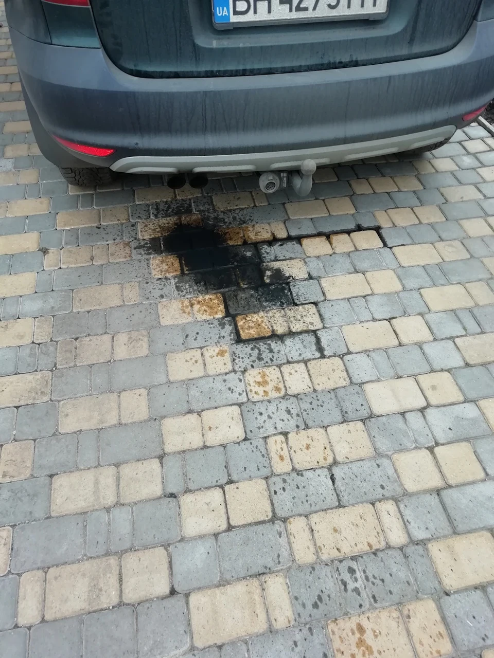 Жере дико мастило!