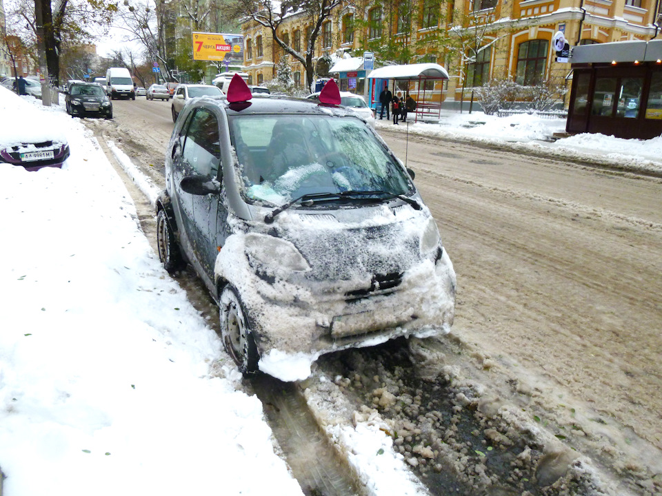 Як Ви пережили цей снігопад? 2