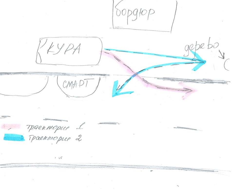 Особливості паркування або Кура за кермом. 2