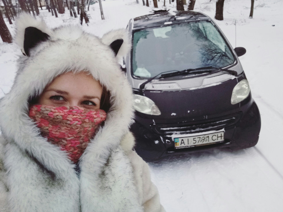 З Різдвом кошенята! 1