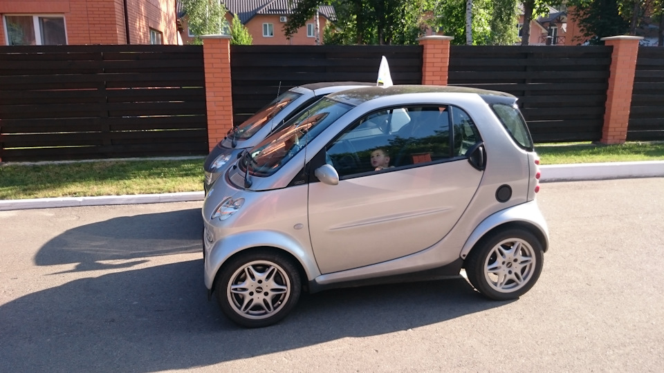 Наша дружна Smart сім'я 4