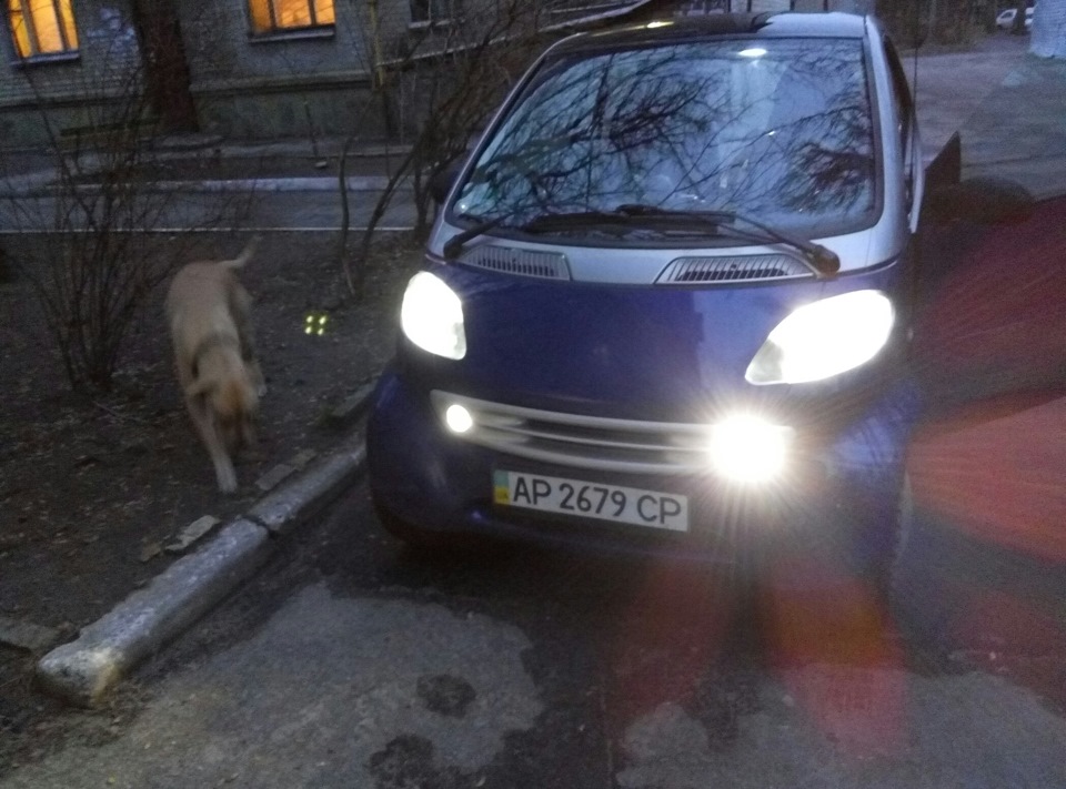 Заміна мастила всіх фільтрів, фото дхо вночі 1