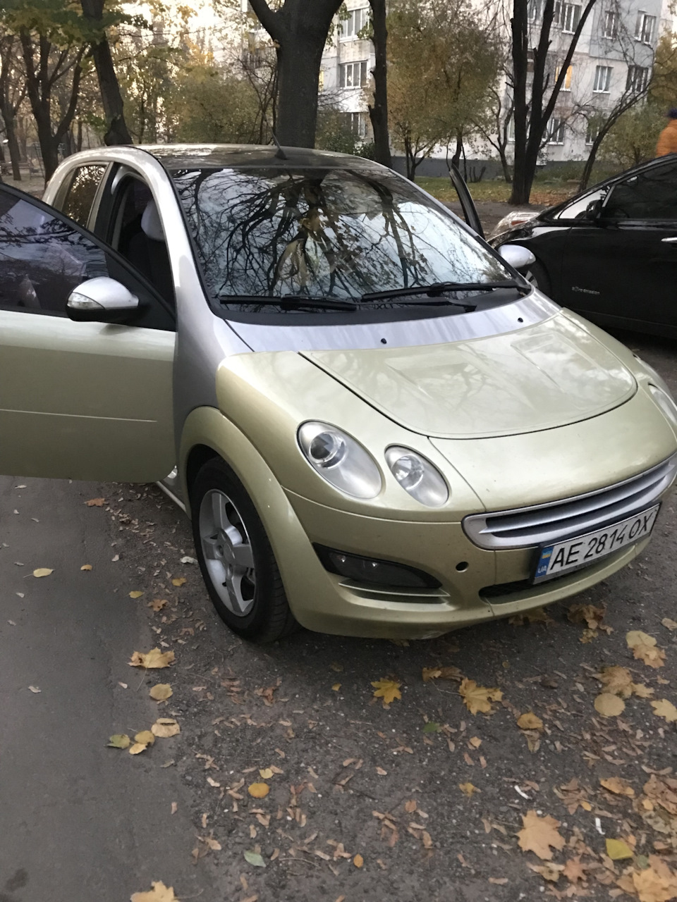 Купив такого звірка 1