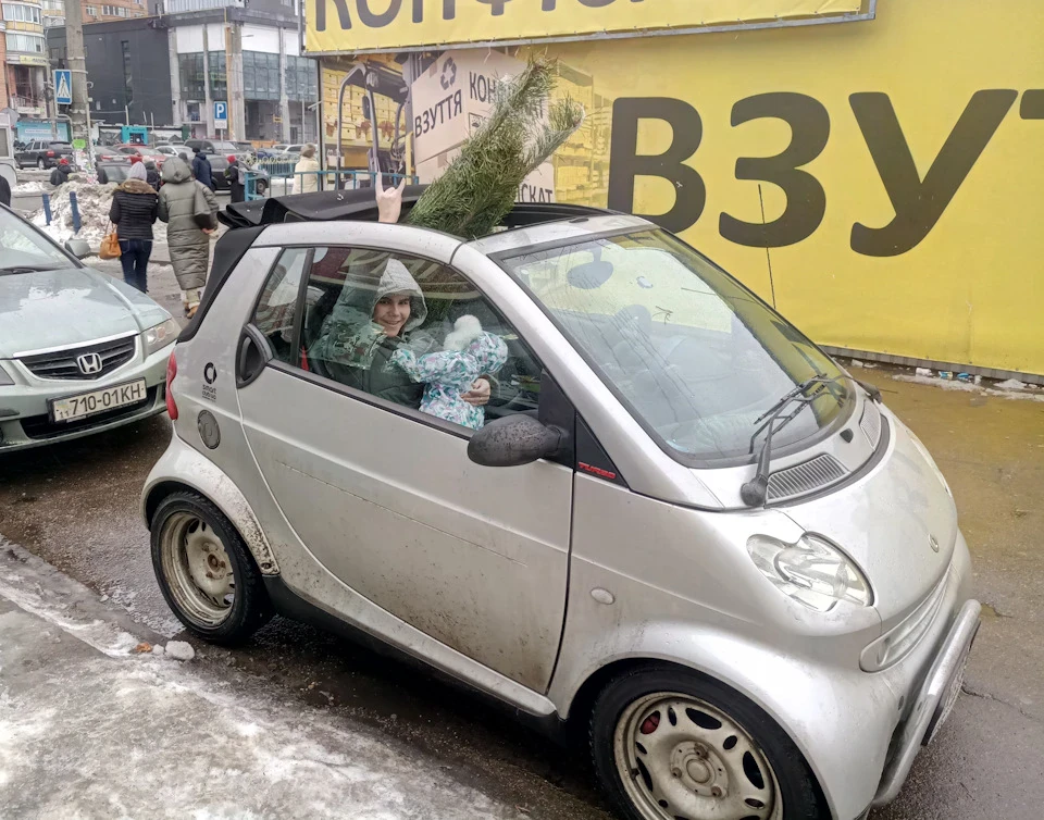 Залізні диски на зиму