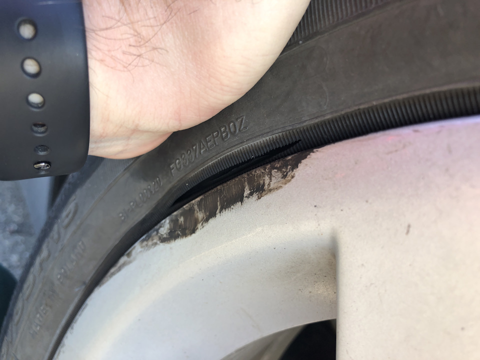Справедливість перемогла 1