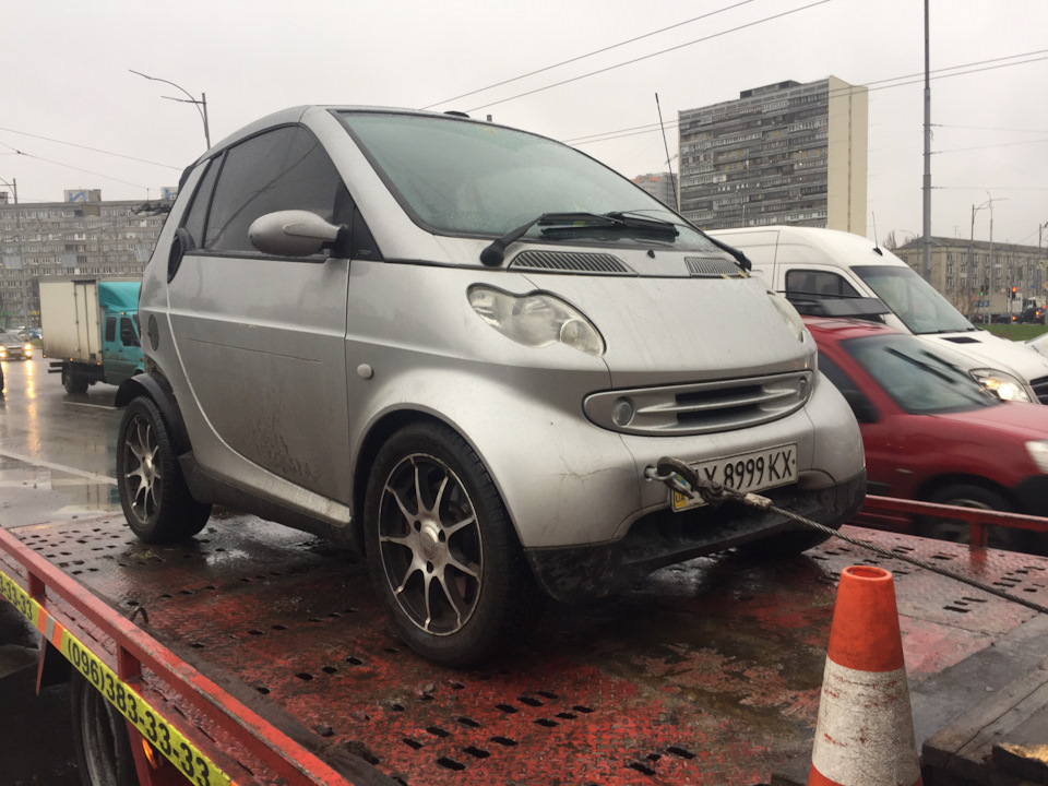 І до нас прийшло північне звірятко - у сенсі Адідас 4