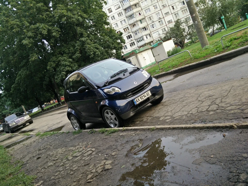 Кокосик крізь майже всі режими Prisma