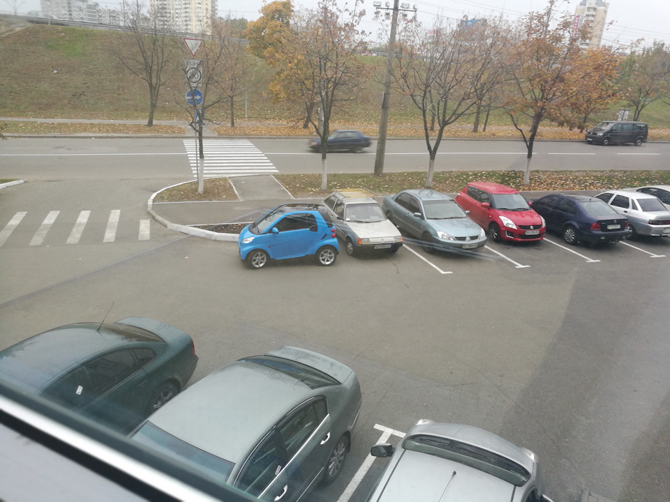 Трохи спостережень, питань та фотографій 3