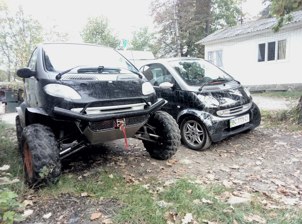 Фото біля стокове смарта
