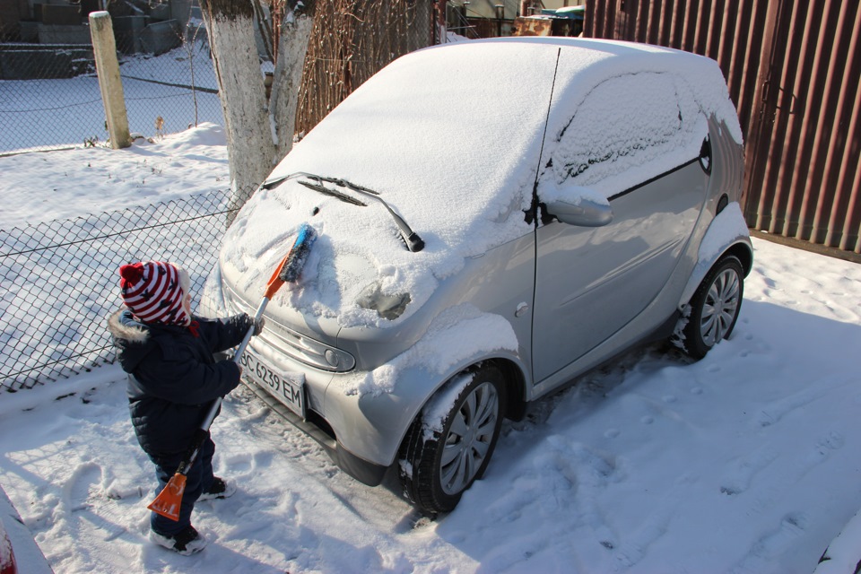 Сніжок 4