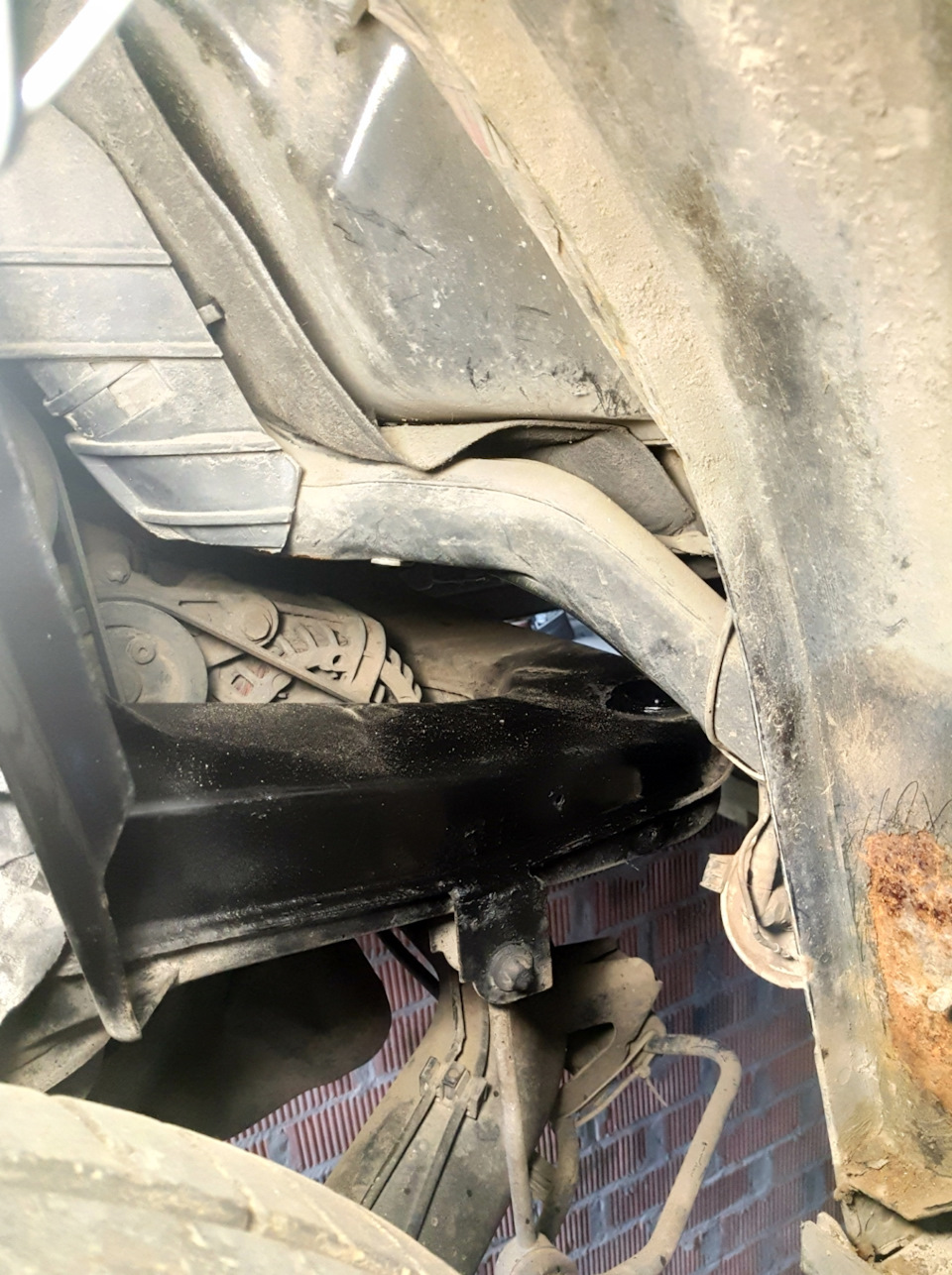 238 700 Дикий колгосп, задній підкрилок 2