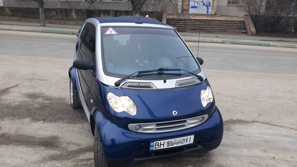 Жужик полетів дзижчати в іншу родину. 2