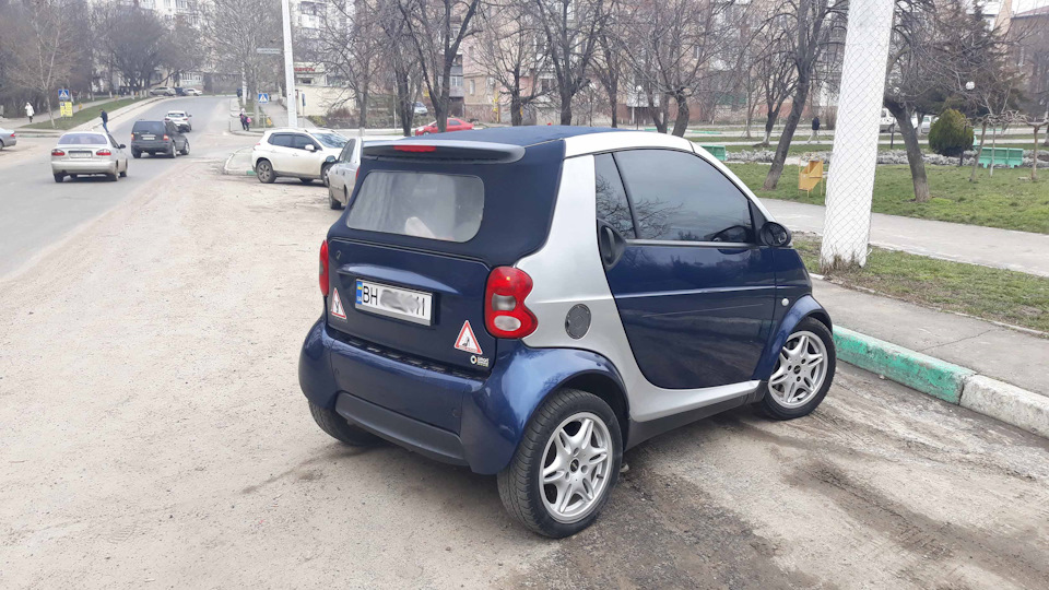 Жужик полетів дзижчати в іншу родину. 4