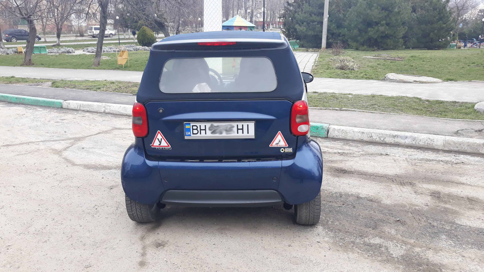 Жужик полетів дзижчати в іншу родину. 5