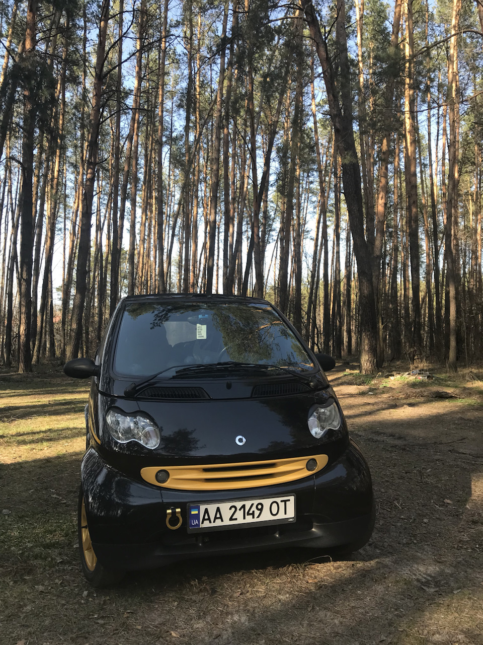 Весна🌞 5