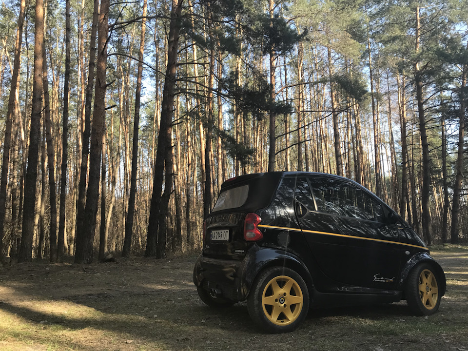 Весна🌞 1