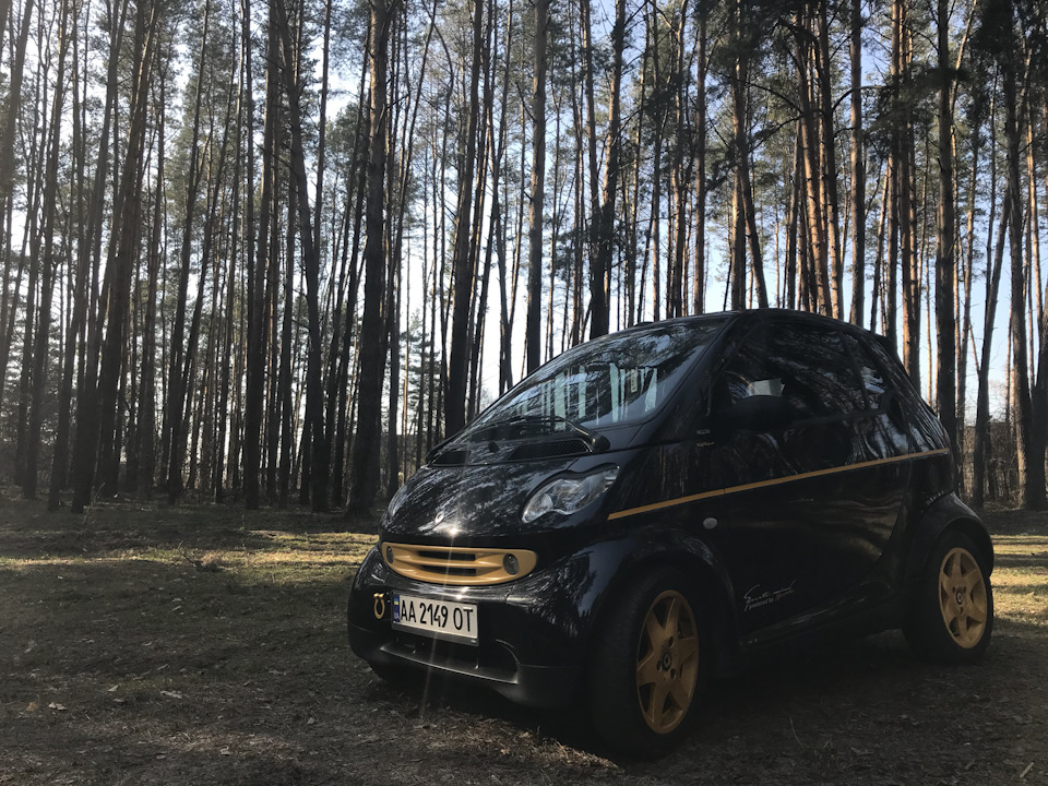 Весна🌞 2