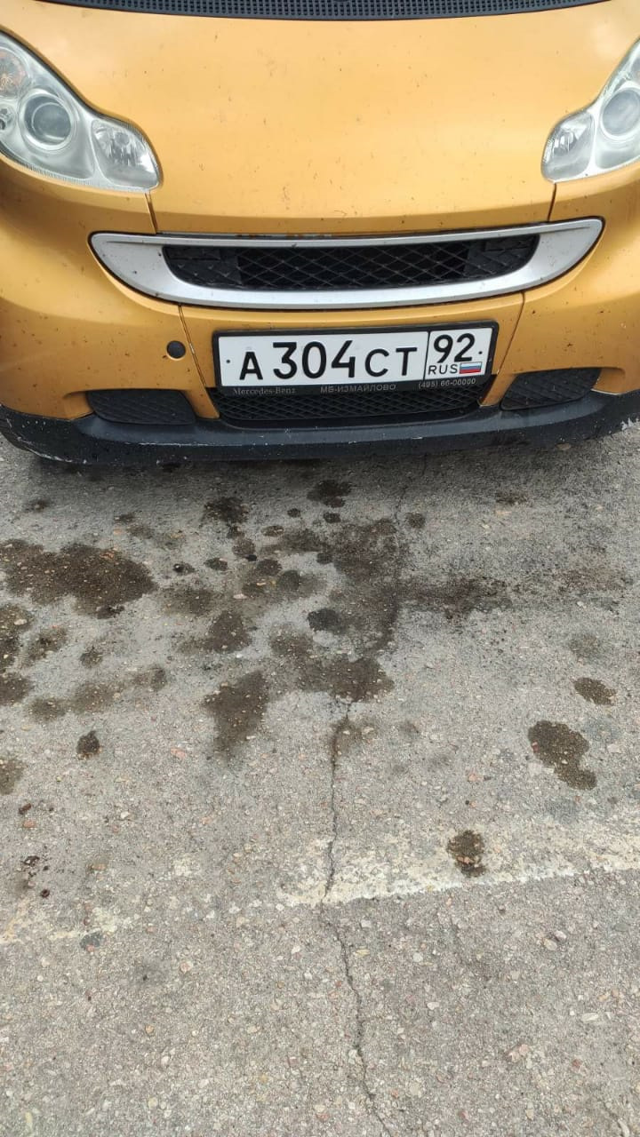 Продаж золотистого Смарту 2