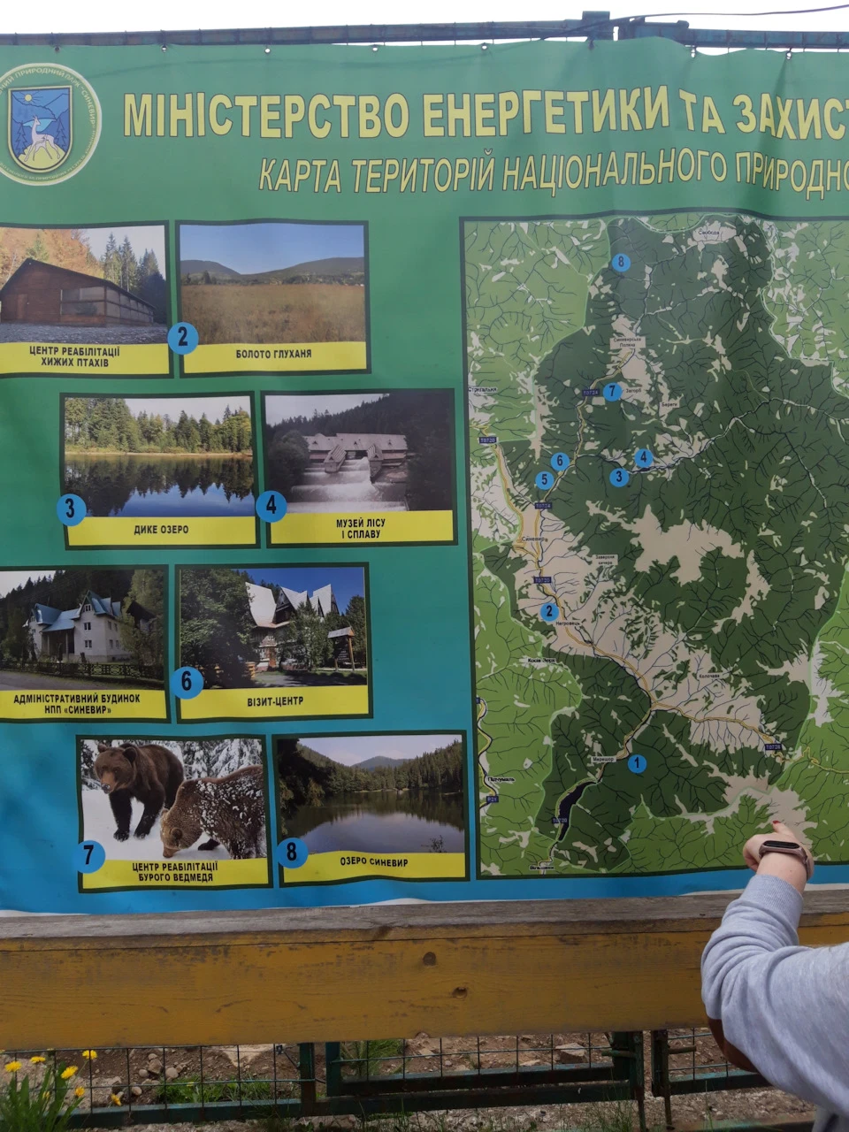 Карпати