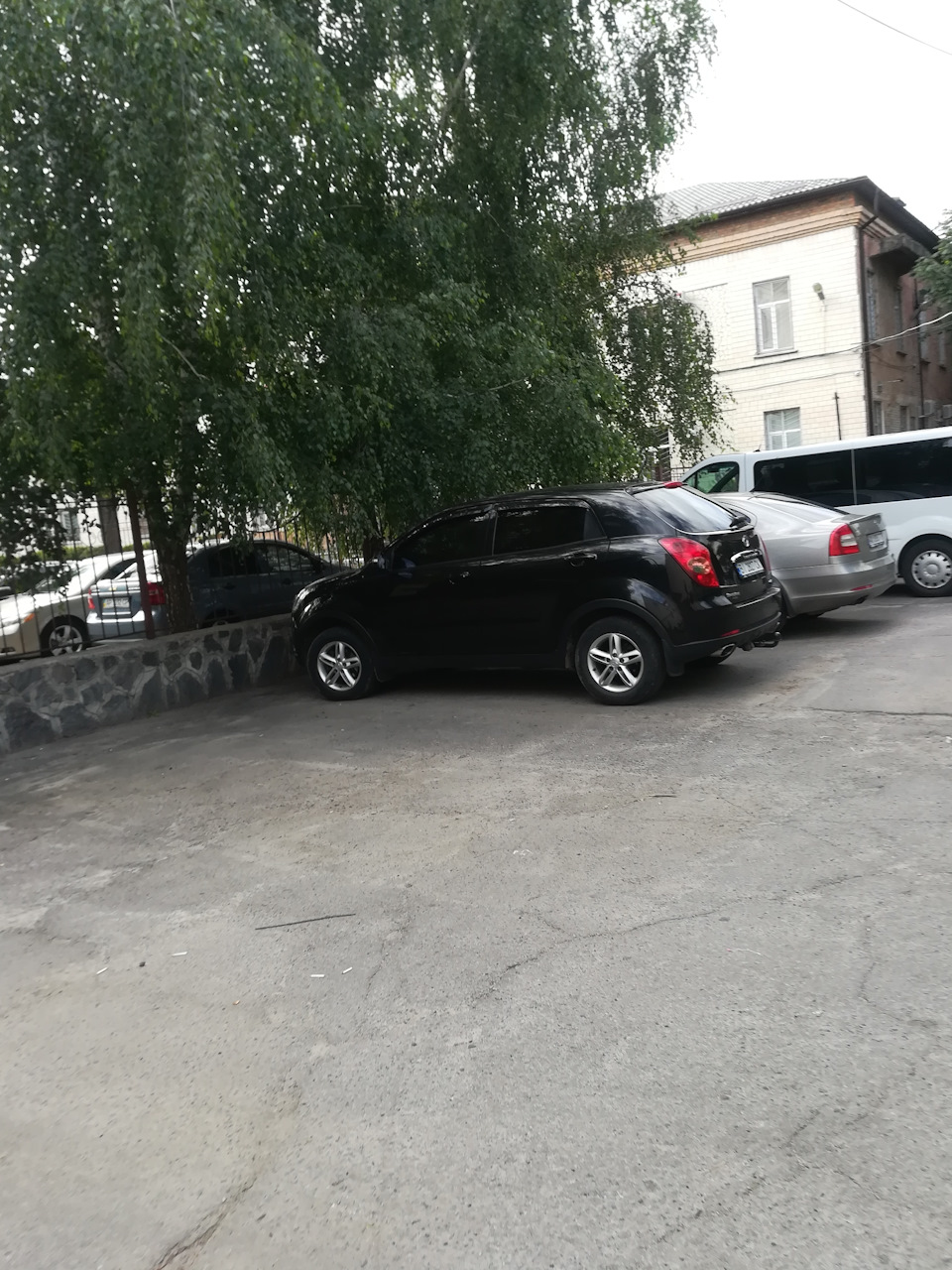 Тонування 2