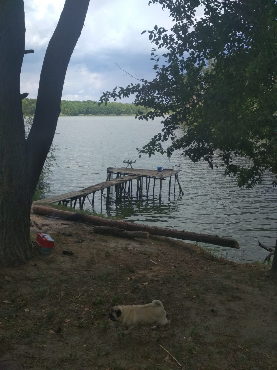 Карповка ... шукаємо рибні місця))) 2