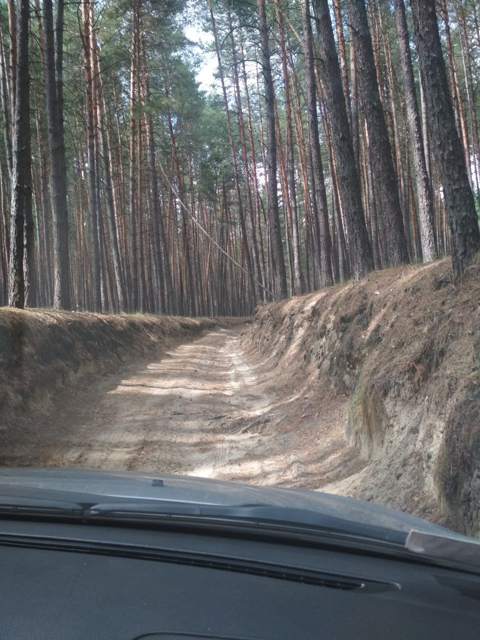 Чергові покотушки на дачі) 1