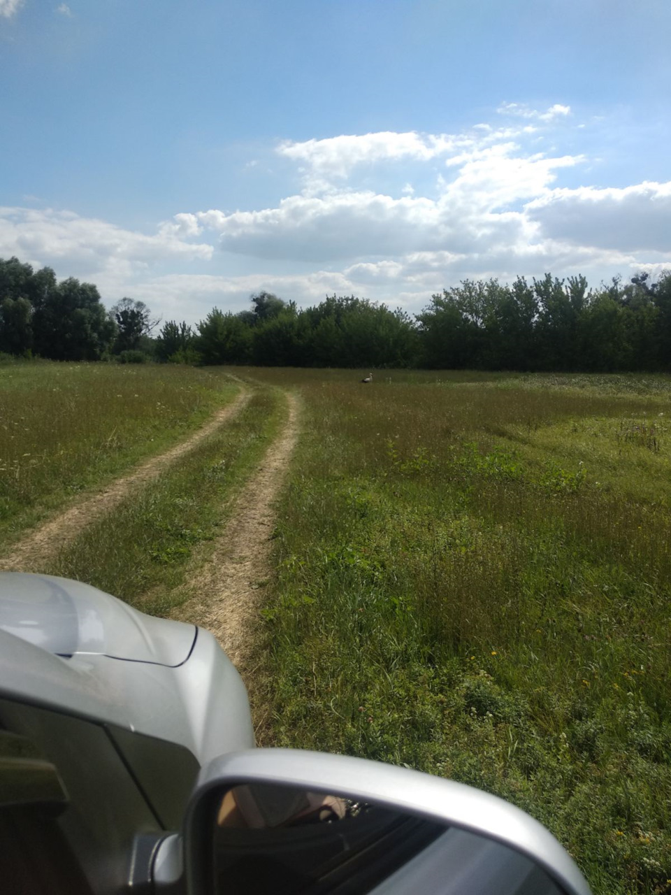 Подорож вихідного дня... Гайдари... 3