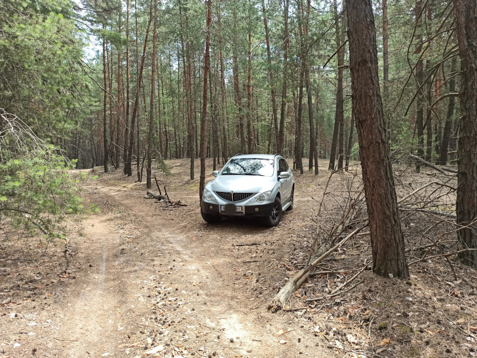 Вилазка до лісу... 4