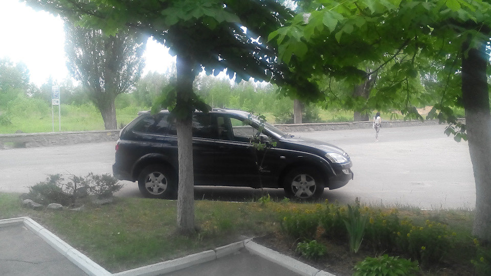 Тонування 1