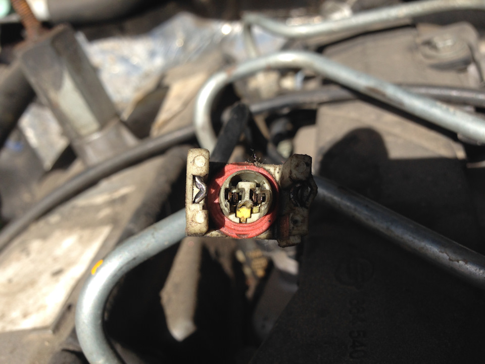 Добра порада зекономила 800 $ ... 1