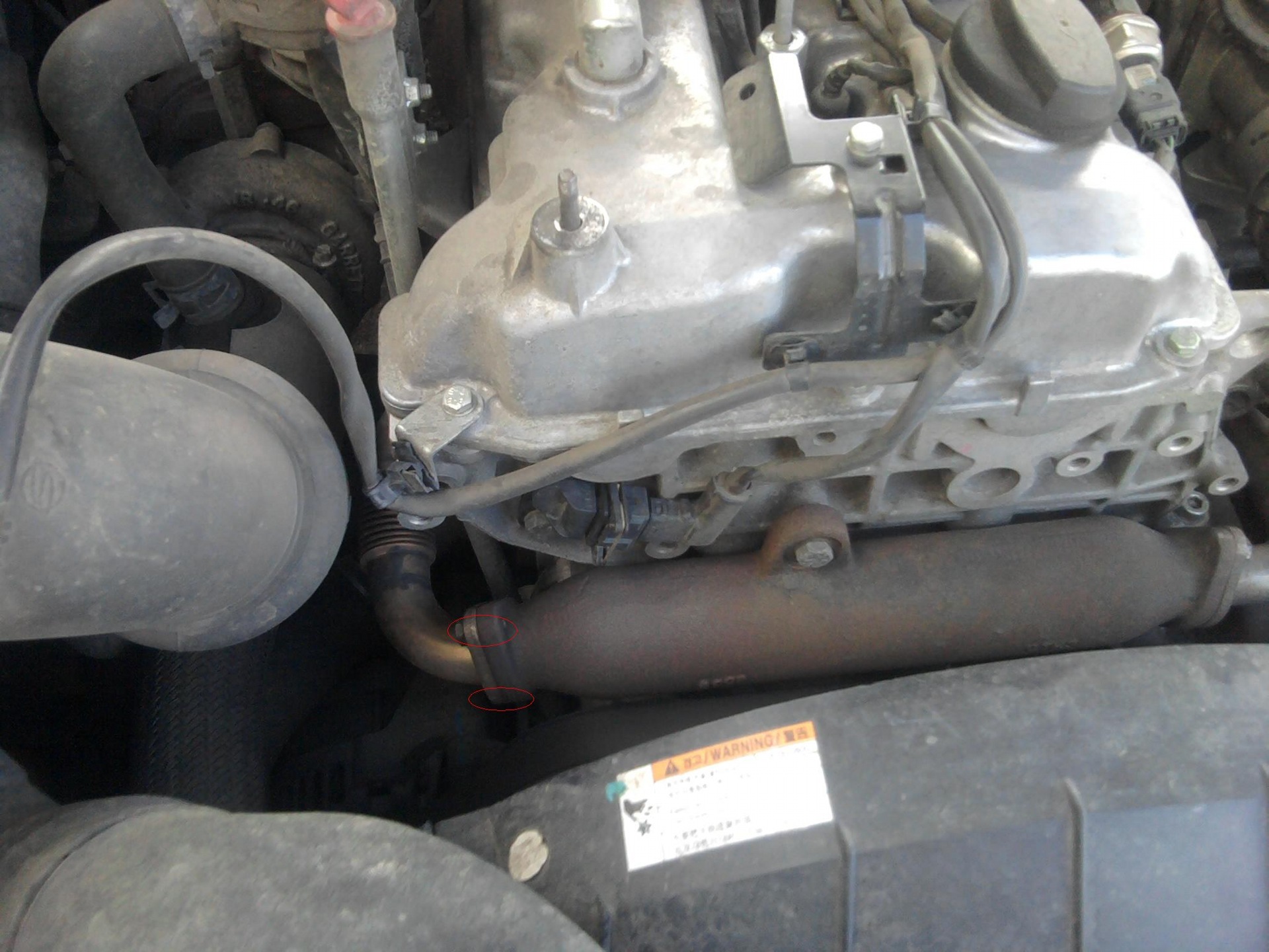 Пригнічений EGR 1