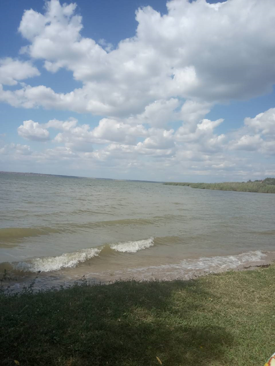 Прокотилися на природу. 4