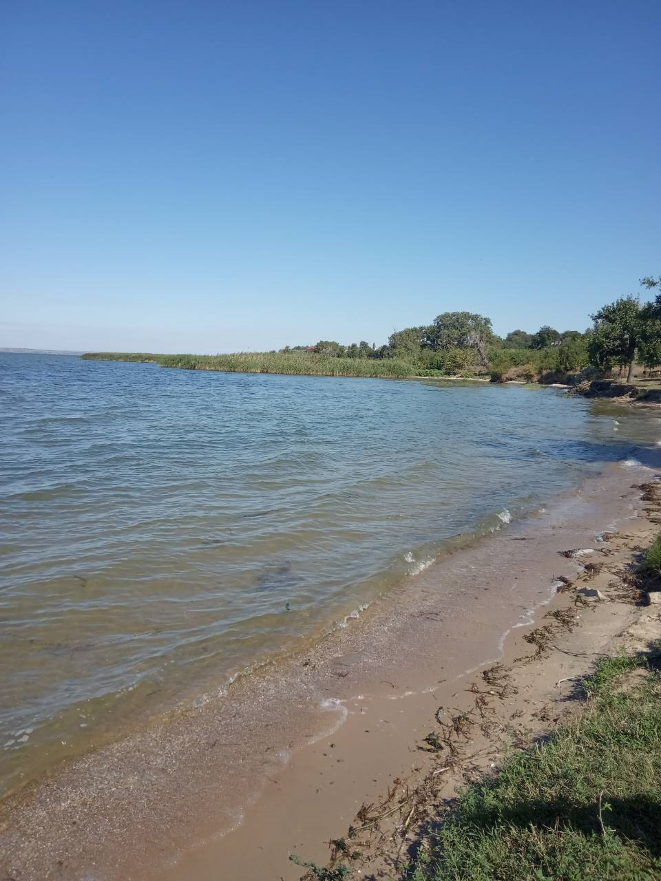 Прокотилися на природу. 2