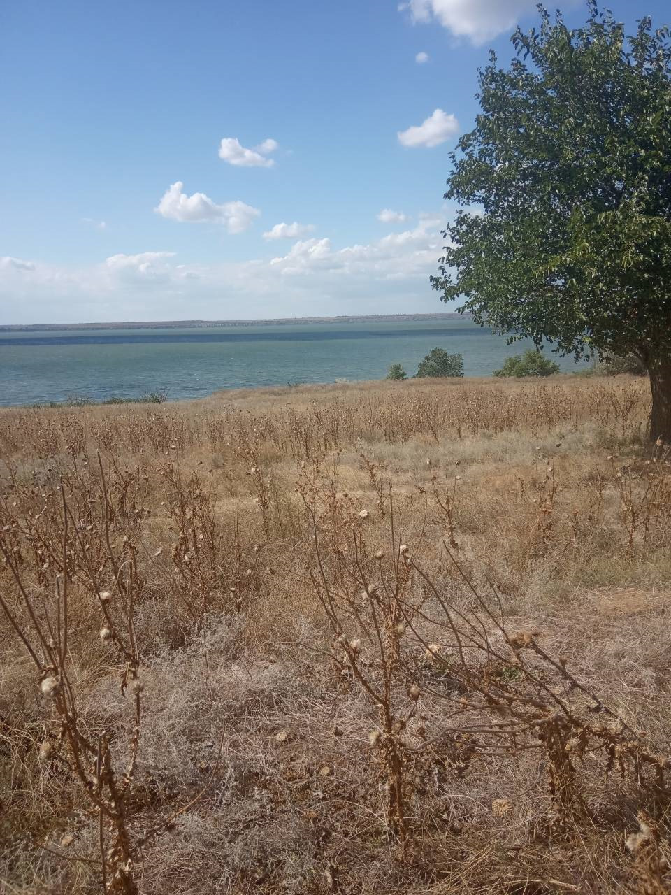 Прокотилися на природу. 5