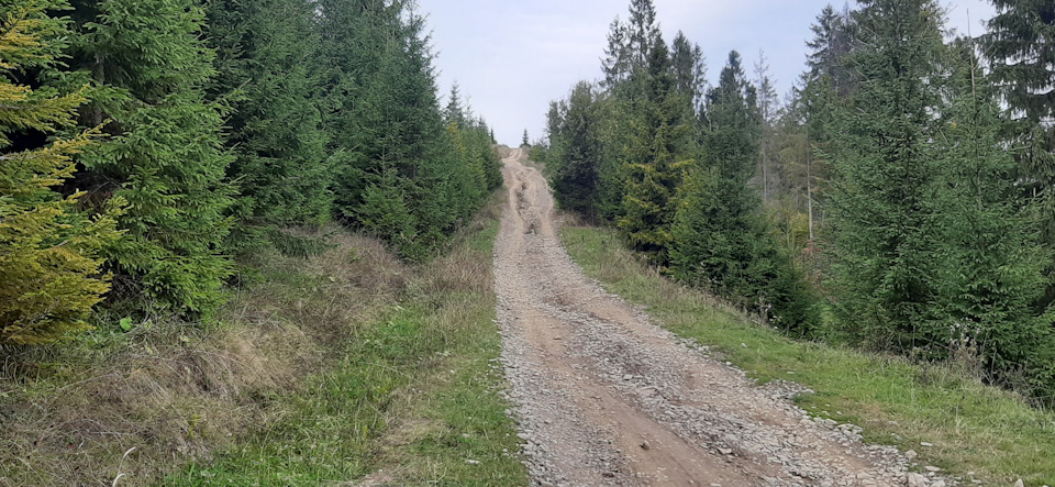 Ось і перевірив Рекса у справі міні трип на 6 днів (Висновки) 4