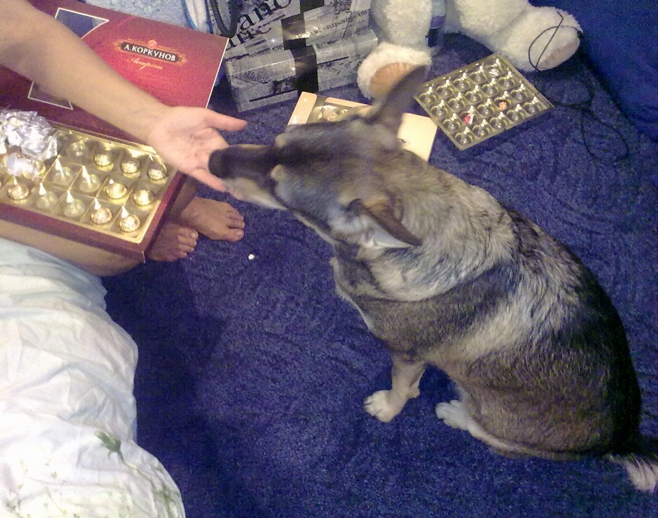 Початок відпочинку в Криму 3