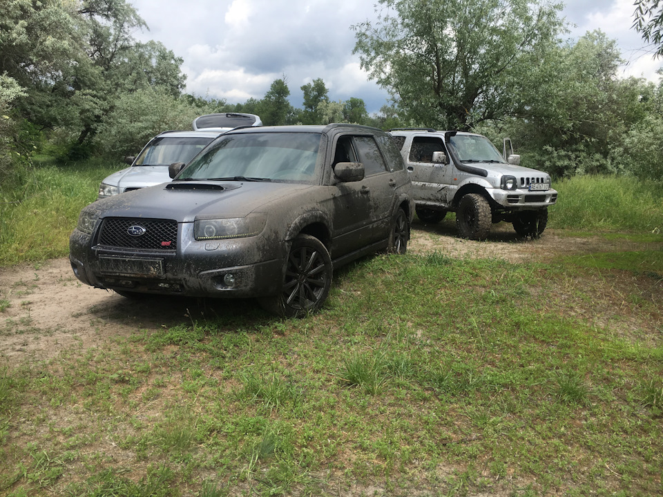 І знову Лісник пішов по дрова😂 5