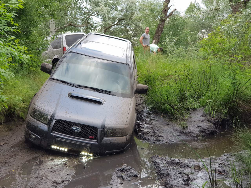 І знову Лісник пішов по дрова😂 2