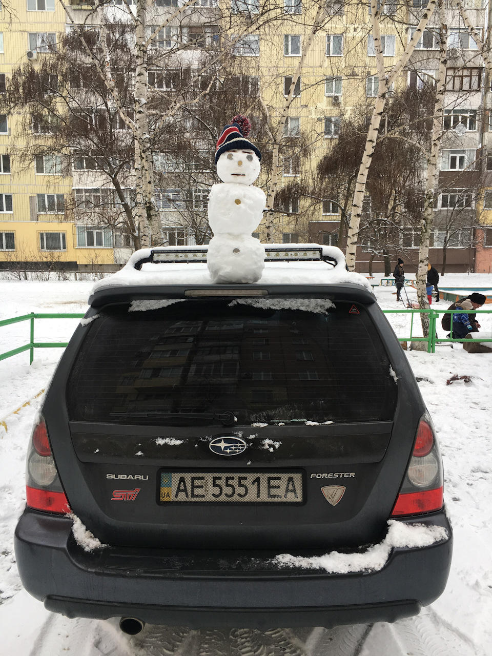 Зимовий оберіг))) 2