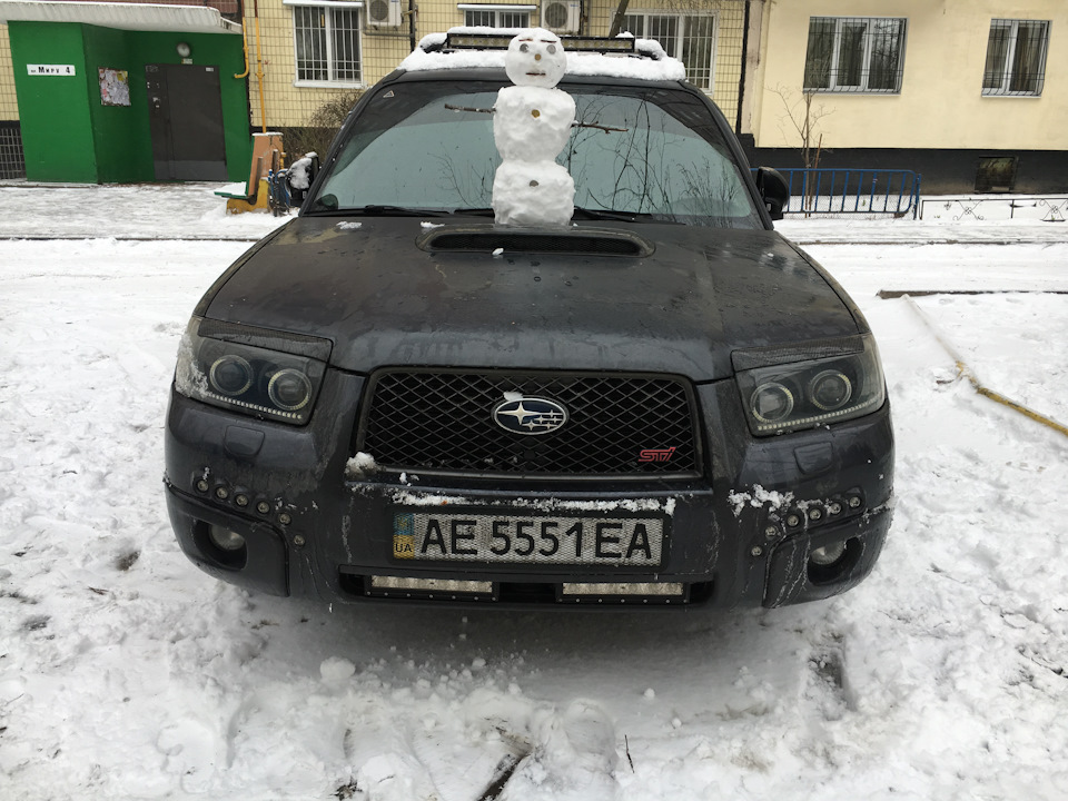 Зимовий оберіг))) 1