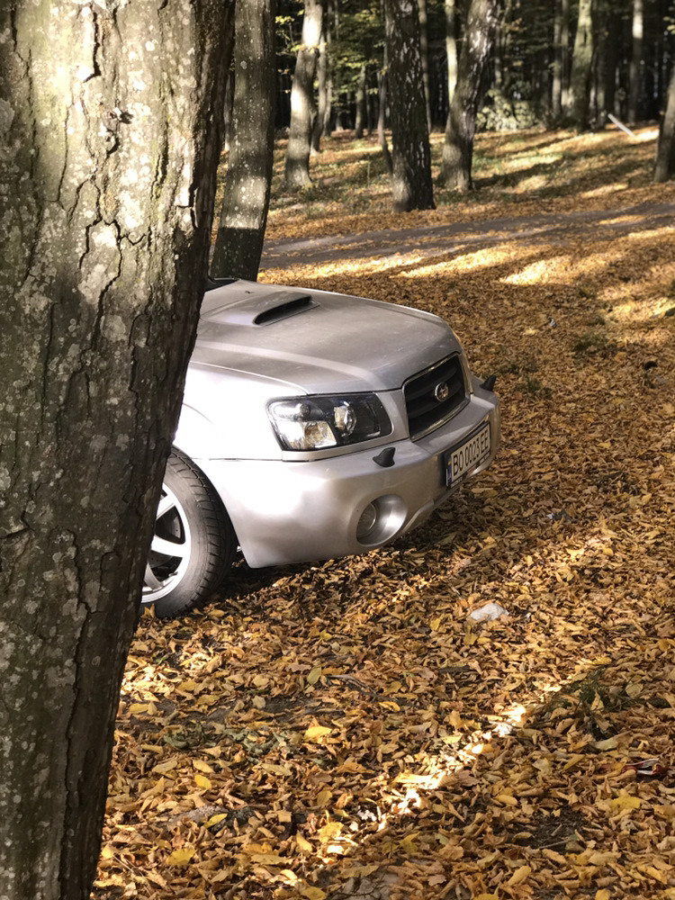 6. Трохи осінніх фоток 5