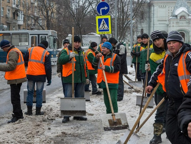 Двірники, які найкращі з найкращих? 1