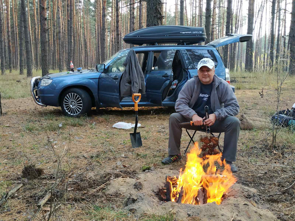 Просто вихідний у лісі 5